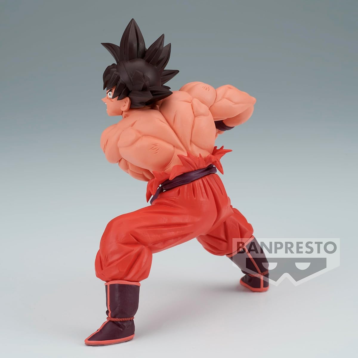 Son Goku (vs Vegeta), view 5