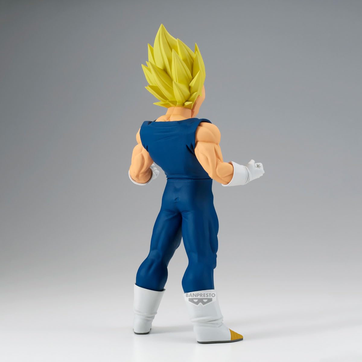Vegeta, view 5