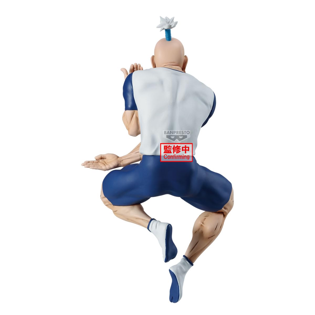 Netero, view 6